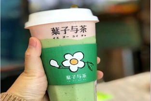 加盟葉子與茶需多少費用？冰淇淋加盟機遇解析